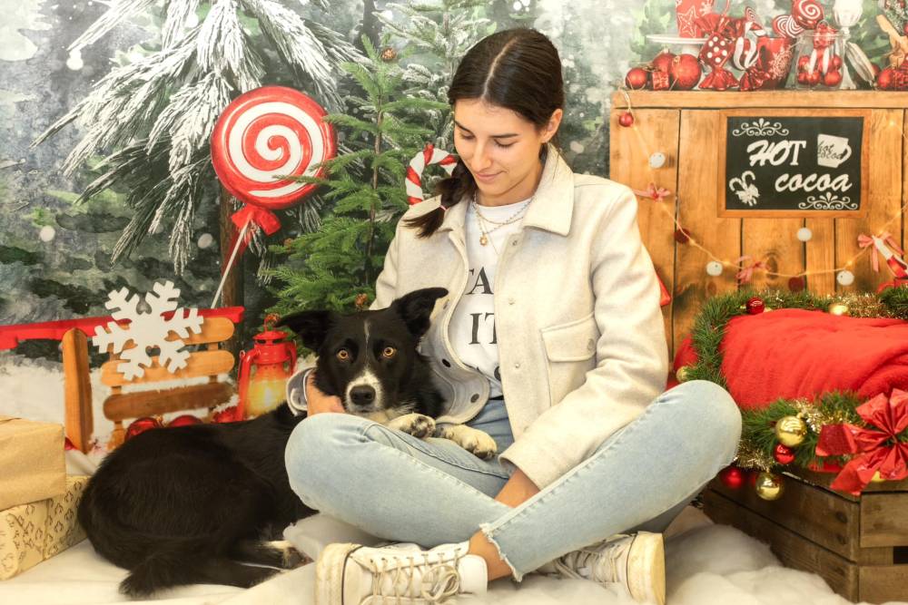 Séance photo des chiens pour Noel Laplume Enchantée